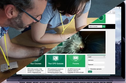 Blended learning delivery Blended learning delivery